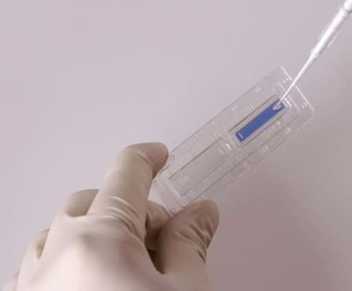Pipetting a cell counting slide for luna II FL and FX7 Pipetting a cell counting slide for luna II FL and FX7